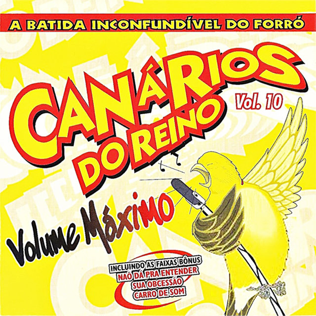 A Batida Inconfudivel Do Forró - Volume Máximo Vol.10