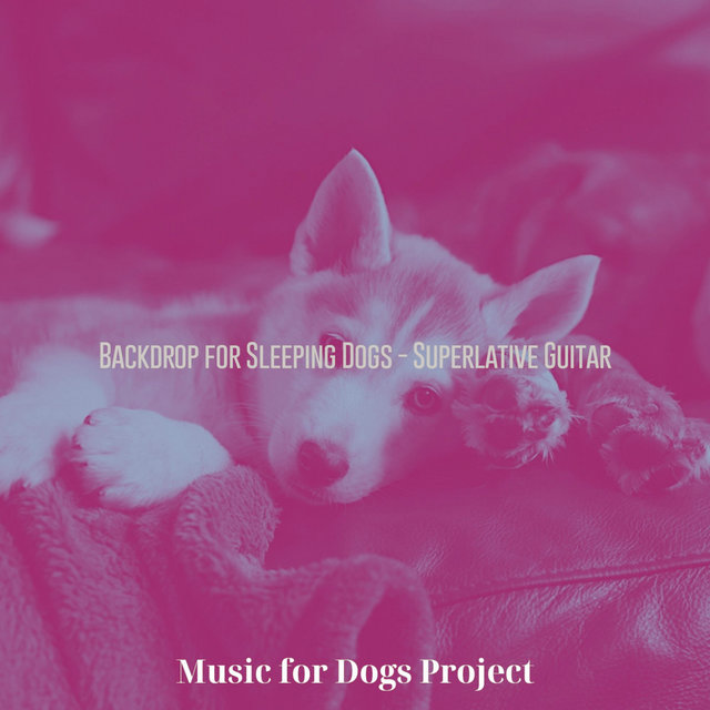 Backdrop for Sleeping Dogs - Superlative Guitar