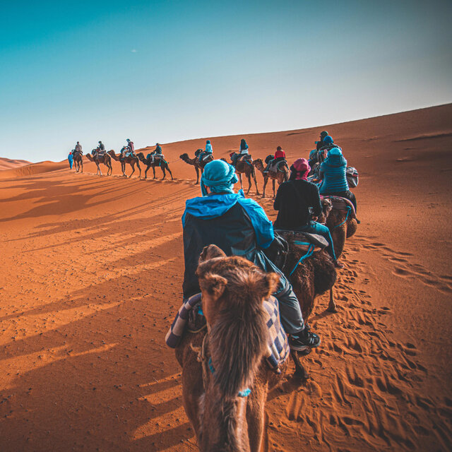 Desert Harmonies Traditional Moroccan Instrumentals
