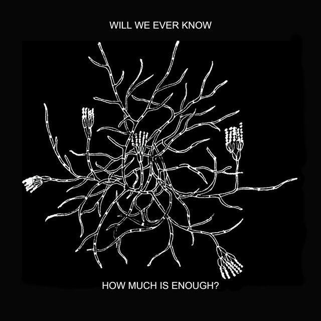 Will We Ever Know How Much Is Enough?