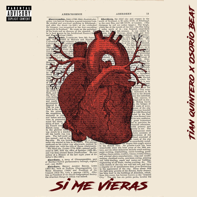 Si Me Vieras