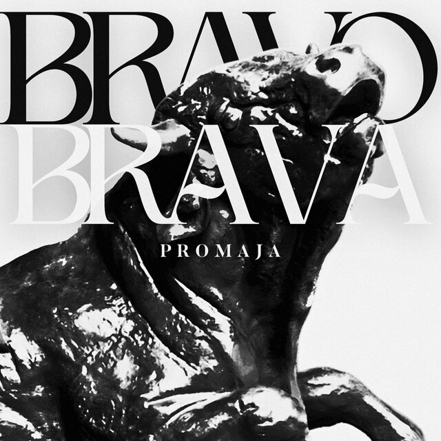 Cover art for album Bravo Brava by Promaja