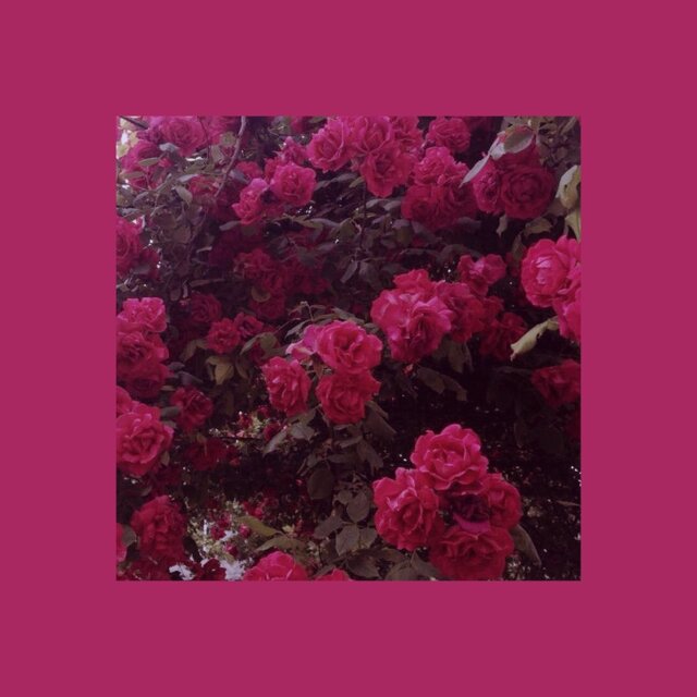 Cover art for album ~ eight fairy ~ by User