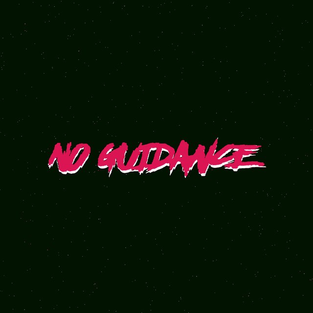 No Guidance