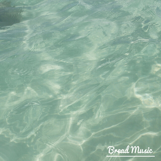 Refreshing Piano Music. 5 Tracks (Birds Sound)  | Transparent Wave