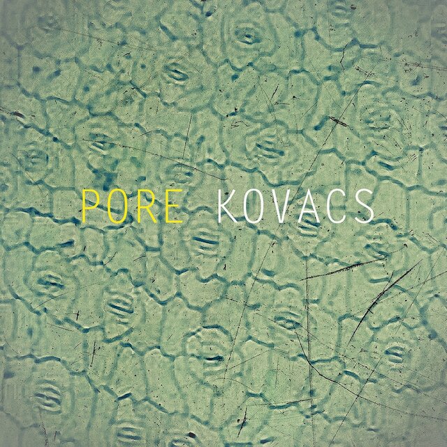 PORE