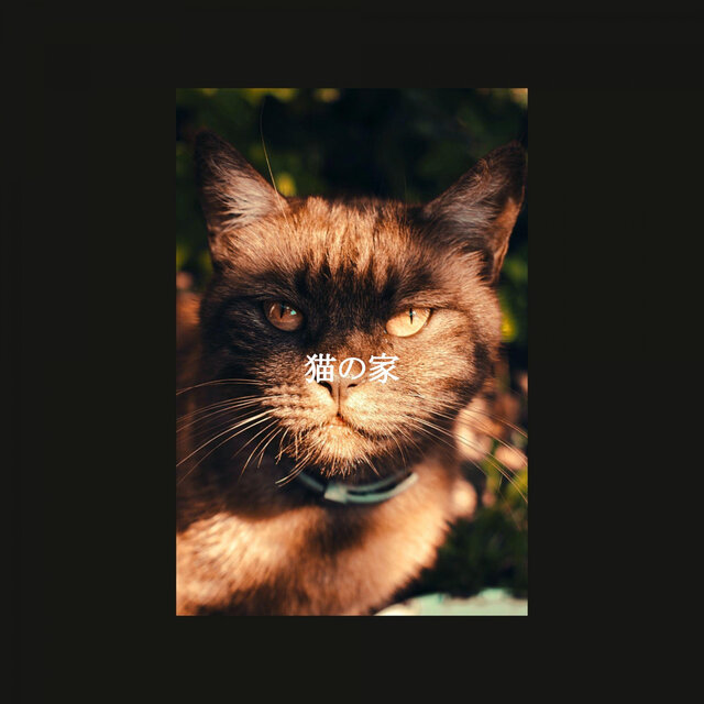 猫の家