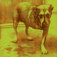 Cover art for album Alice In Chains by Alice In Chains