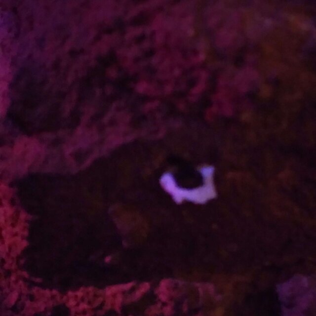 The Void Has a Number