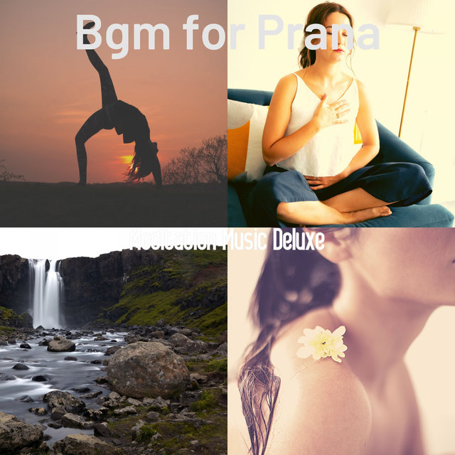Bgm for Prana