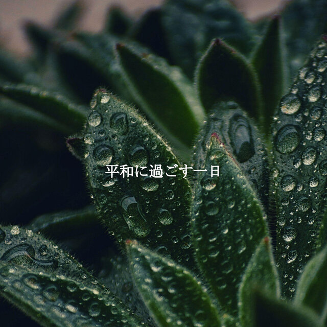 平和に過ごす一日