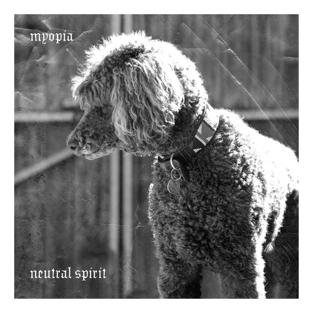 Neutral Spirit