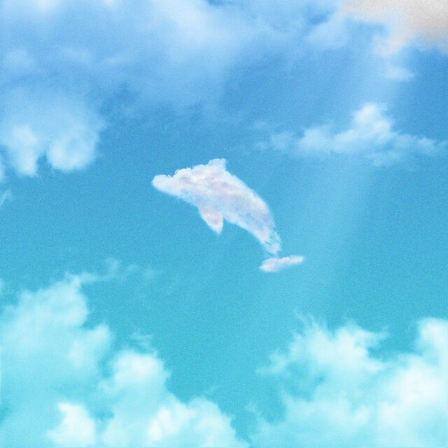 Dolphin