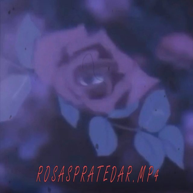Rosaspratedar