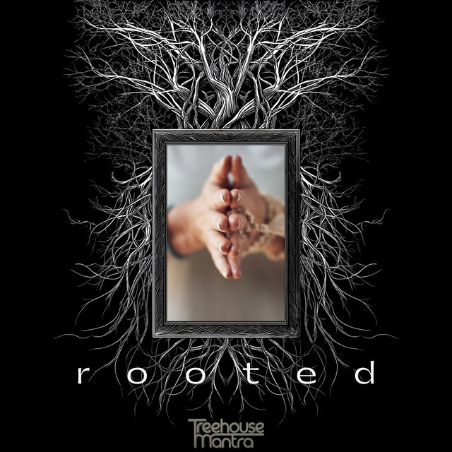 r o o t e d