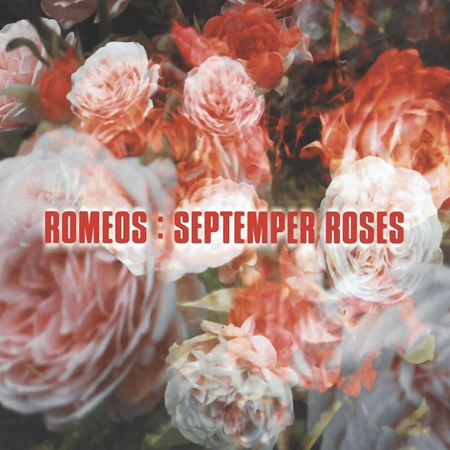 Septemper Roses