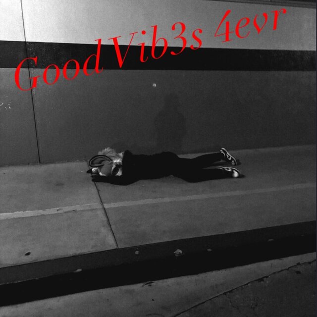 Good Vib3s 4evr
