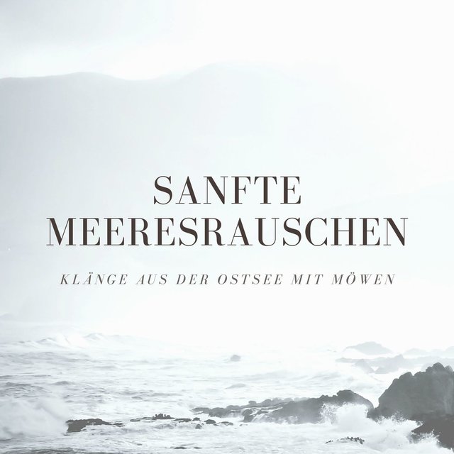 Sanfte Meeresrauschen: Klänge aus der Ostsee mit Möwen