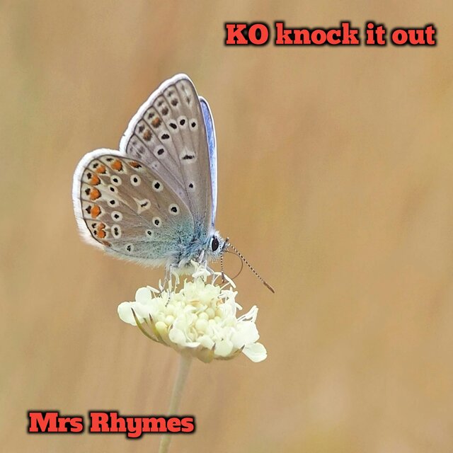 KO knock it out