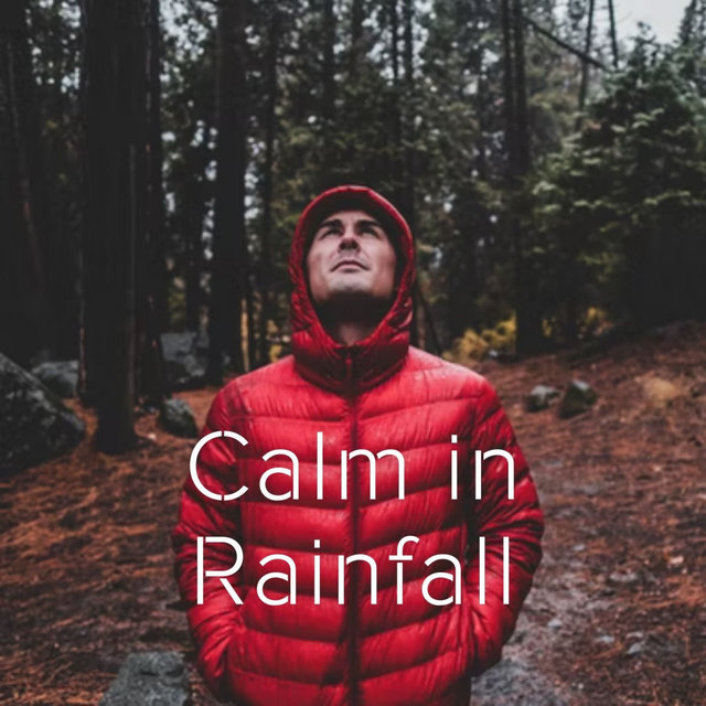 Calm in Rainfall - 1 hour