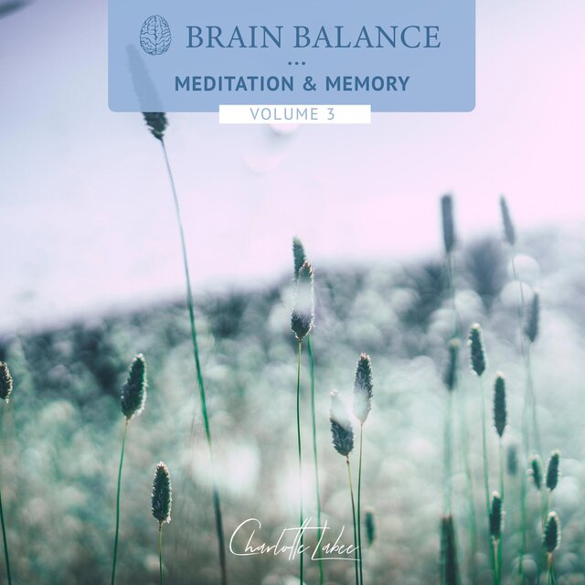 Meditation & Memory