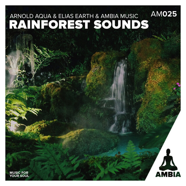 Rainforest Sounds