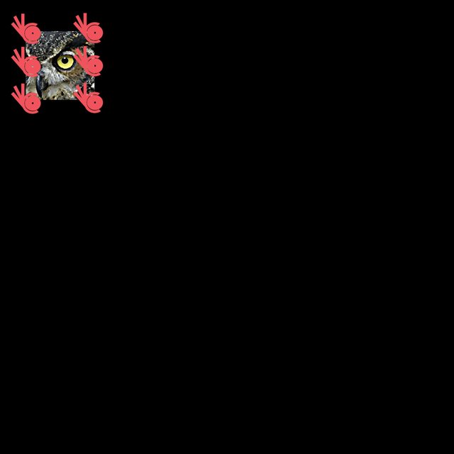 Noctowwwl