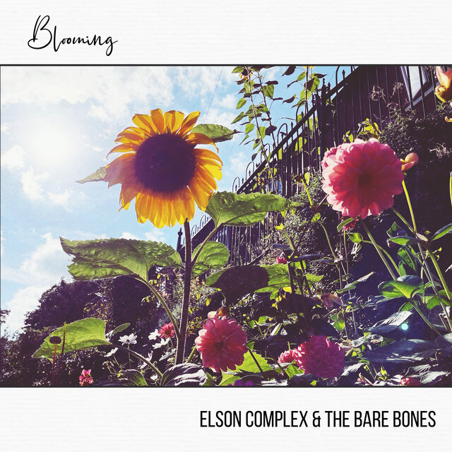 Blooming