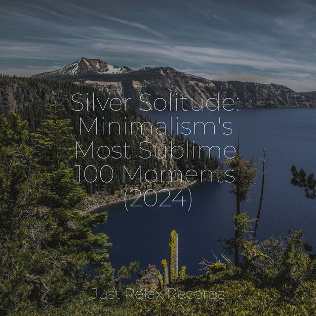Silver Solitude: Minimalism's Most Sublime 100 Moments (2024)