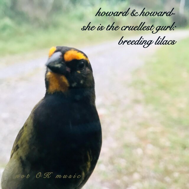 she is the cruellest gurl: breeding lilacs