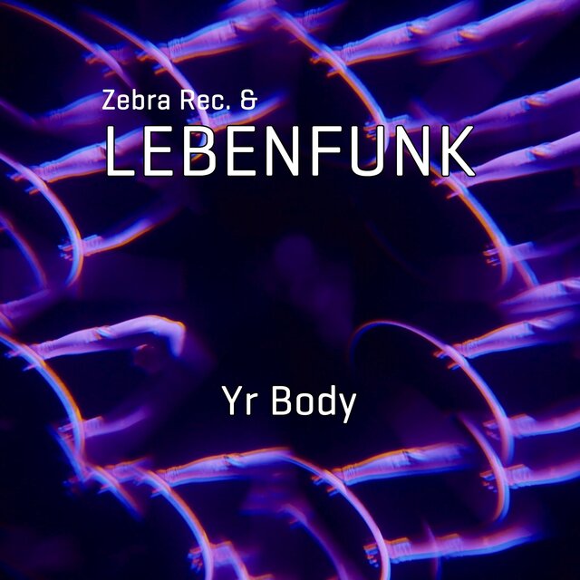 Cover art for album  by Zebra Rec., Lebenfunk