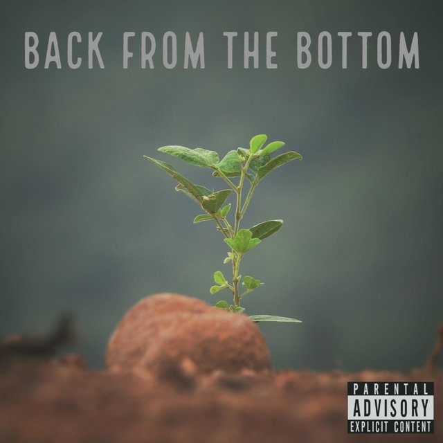Back from the Bottom