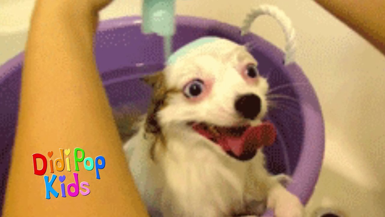 Bath Time