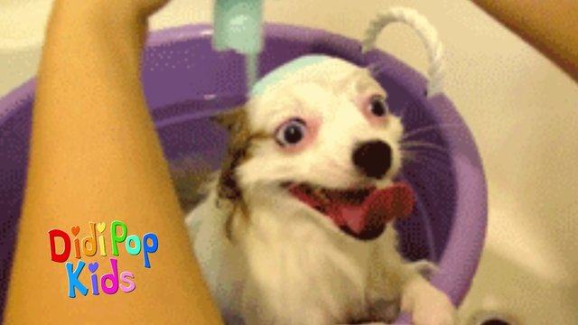 Bath Time