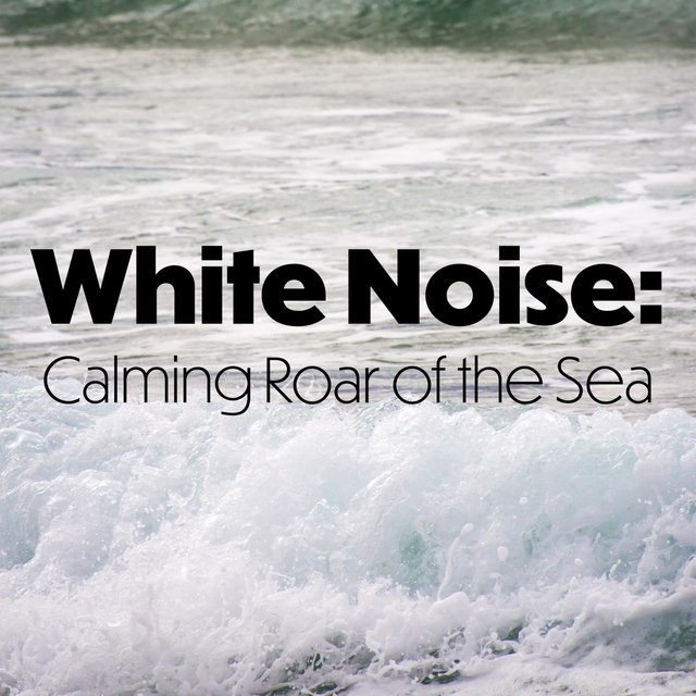 White Noise: Calming Roar of the Sea