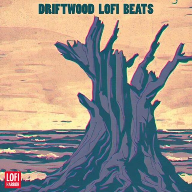 Driftwood Lofi Beats