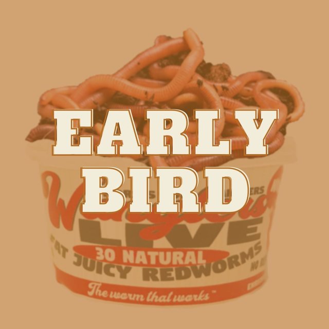 Early Bird
