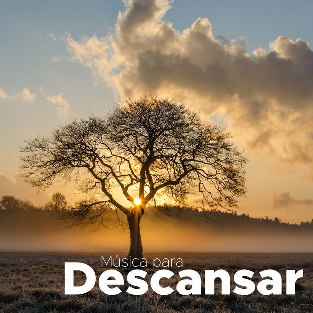 Música para Descansar