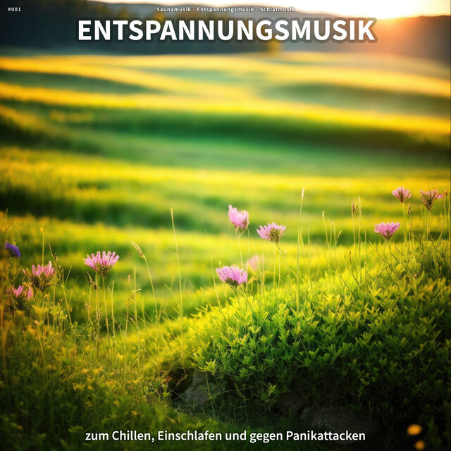#001 Entspannungsmusik zum Chillen, Einschlafen und gegen Panikattacken