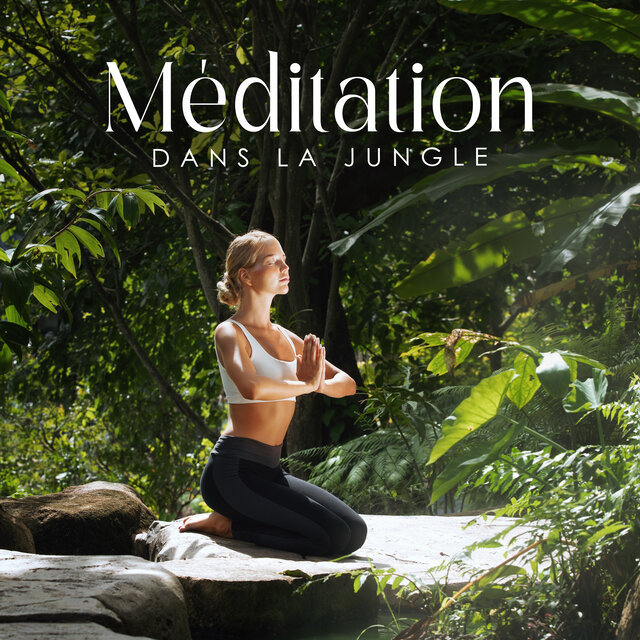 Méditation dans la jungle: Sons exotiques de la nature pour une pratique calme de la méditation