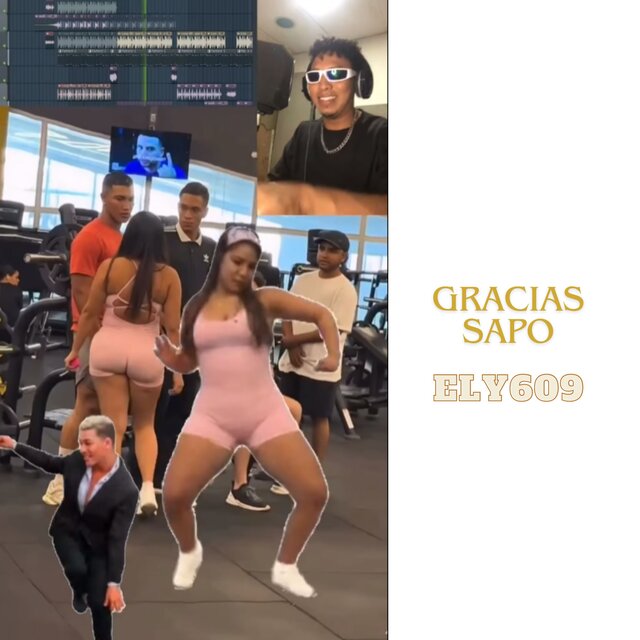 Gracias Sapo