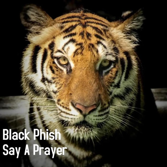 Say a Prayer