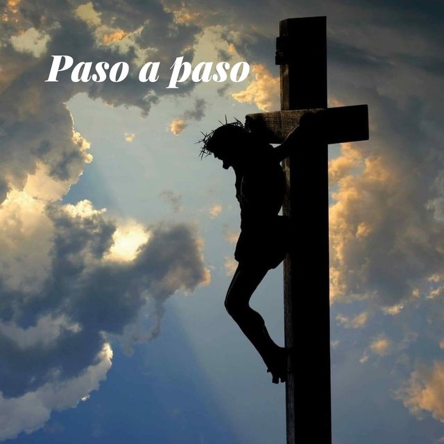 Paso a paso