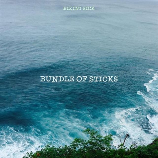 Bundle Of Sticks