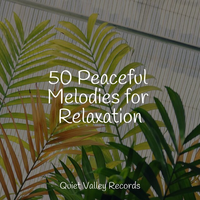 50 Peaceful Melodies for Relaxation