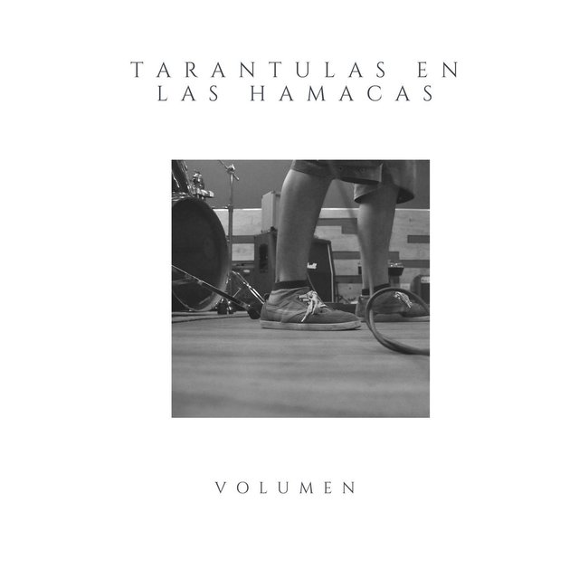 Tarantulas En Las Hamacas