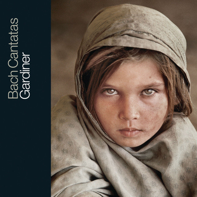 Bach: Cantatas, Vol. 27 – BWVV 184, 175, 194, 176, 165 & 129 (Live)