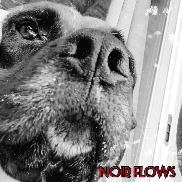 Noir Flows