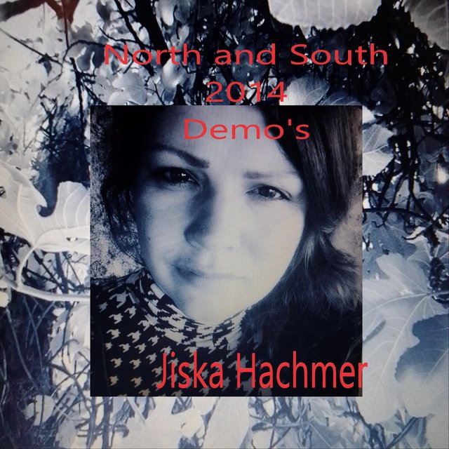 North and South 2014 Demo's