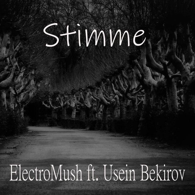 Stimme (feat. Usein Bekirov)